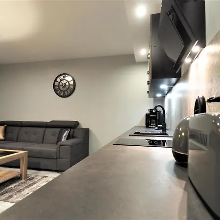 Apartament Vip Folk *